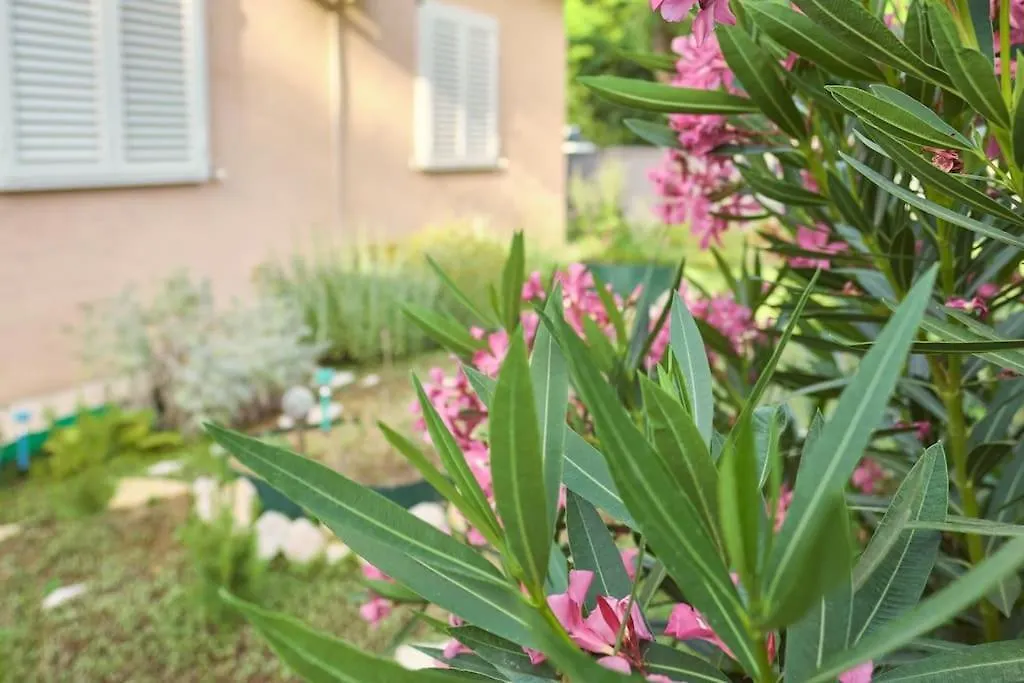 Villa Zhouse Inn - Your Holiday House Petrcane Croatia